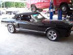 mustang
